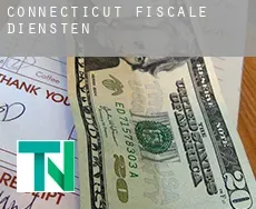 Connecticut  fiscale diensten