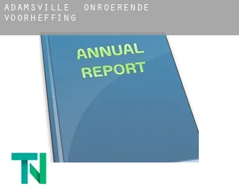 Adamsville  onroerende voorheffing