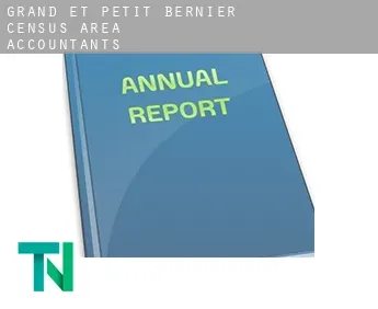 Grand-et-Petit-Bernier (census area)  accountants