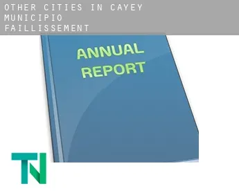 Other cities in Cayey Municipio  faillissement