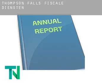 Thompson Falls  fiscale diensten