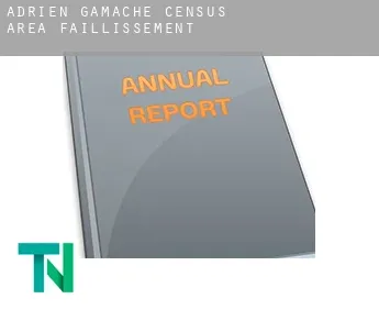 Adrien-Gamache (census area)  faillissement