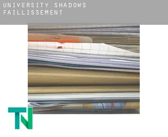 University Shadows  faillissement