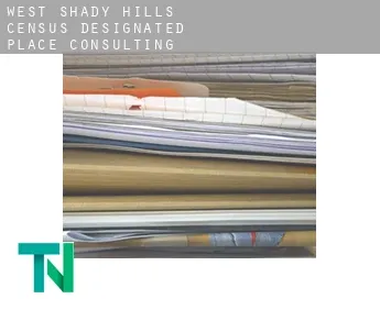 West Shady Hills  consulting