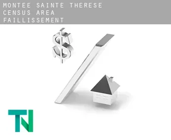 Montée-Sainte-Thérèse (census area)  faillissement