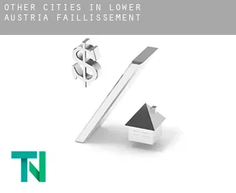 Other Cities in Lower Austria  faillissement