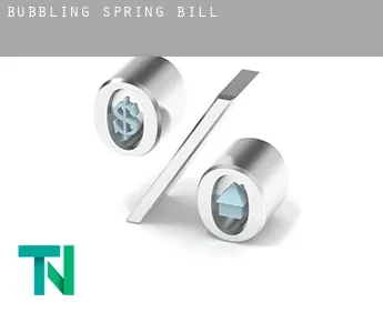 Bubbling Spring  bill