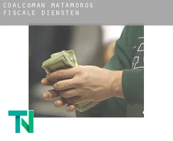 Coalcomán de Matamoros  fiscale diensten