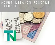 Mount Lebanon  fiscale diensten