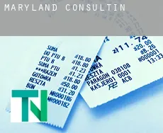 Maryland  consulting
