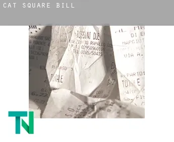 Cat Square  bill