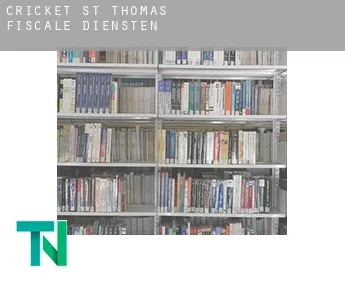 Cricket St Thomas  fiscale diensten