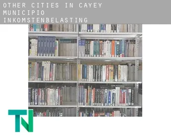 Other cities in Cayey Municipio  inkomstenbelasting