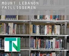 Mount Lebanon  faillissement