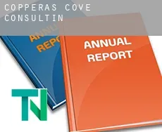 Copperas Cove  consulting