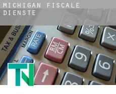 Michigan  fiscale diensten