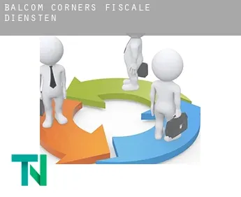 Balcom Corners  fiscale diensten