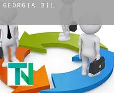 Georgia  bill