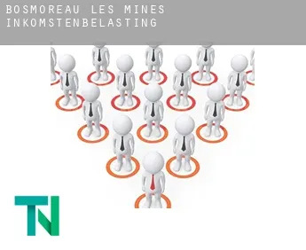Bosmoreau-les-Mines  inkomstenbelasting