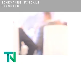 Échevanne  fiscale diensten