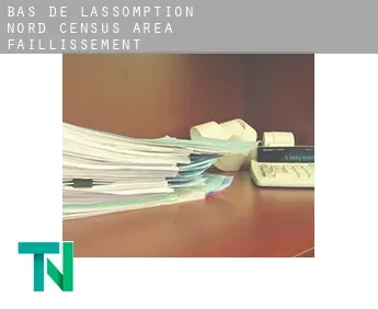 Bas-de-L'Assomption-Nord (census area)  faillissement