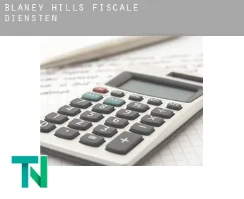 Blaney Hills  fiscale diensten