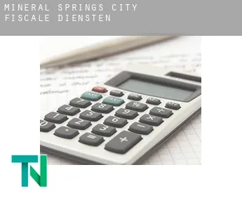 Mineral Springs City  fiscale diensten