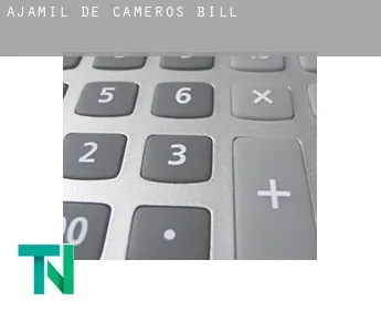 Ajamil de Cameros  bill