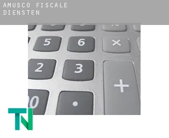 Amusco  fiscale diensten