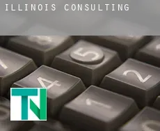 Illinois  consulting