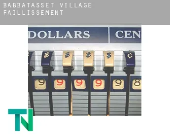 Babbatasset Village  faillissement