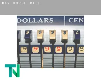 Bay Horse  bill