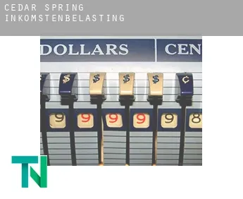 Cedar Spring  inkomstenbelasting