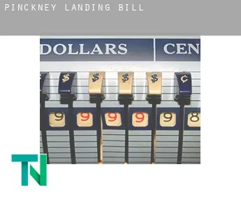 Pinckney Landing  bill