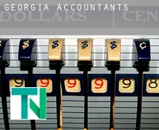 Georgia  accountants