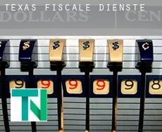 Texas  fiscale diensten