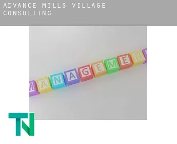 Advance Mills Village  consulting