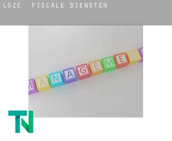 Lozé  fiscale diensten