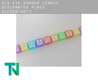 Old Fig Garden  accountants