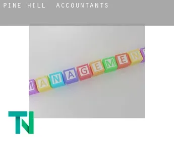 Pine Hill  accountants