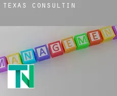 Texas  consulting