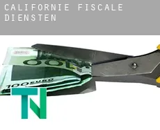 Californië  fiscale diensten