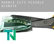 Phenix City  fiscale diensten