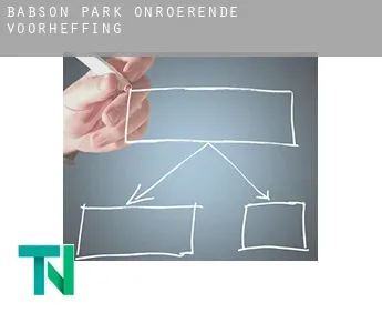 Babson Park  onroerende voorheffing