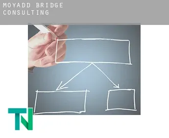 Moyadd Bridge  consulting