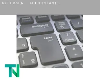 Anderson  accountants