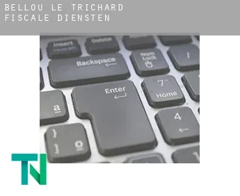 Bellou-le-Trichard  fiscale diensten