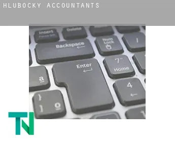 Hlubočky  accountants