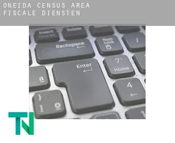 Oneida (census area)  fiscale diensten