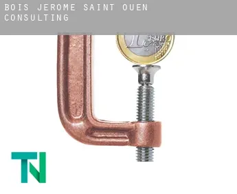 Bois-Jérôme-Saint-Ouen  consulting